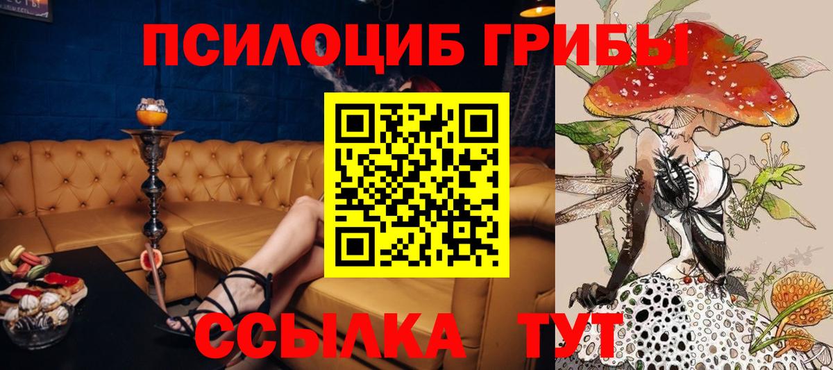 Краснокамск  Галлюциногенные грибы ЛСД  Галлюциногенные грибы Psilocybe  Вход с VPN 